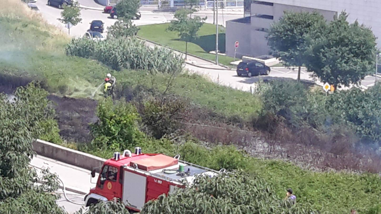 Izbio požar kod Ekonomskog fakulteta, gorjelo nisko raslinje