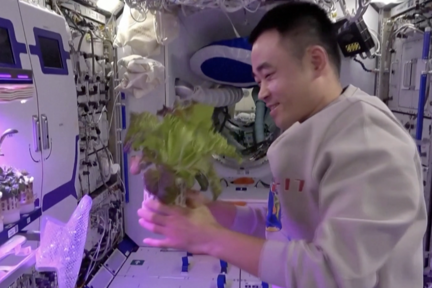 Kineski astronauti uživaju u povrću uzgojenom u svemiru kako bi dočekali Novu godinu