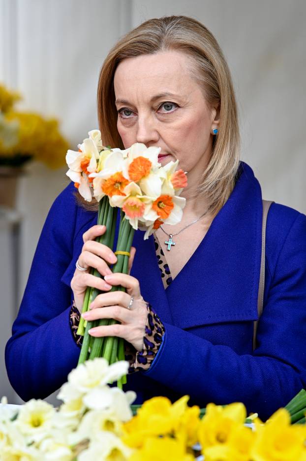 Zagreb: Poznati na špici