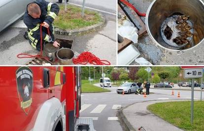 VIDEO: Krapinski vatrogasci spasili pačiće: Pustili smo ih kraj rijeke, mama ih je dočekala