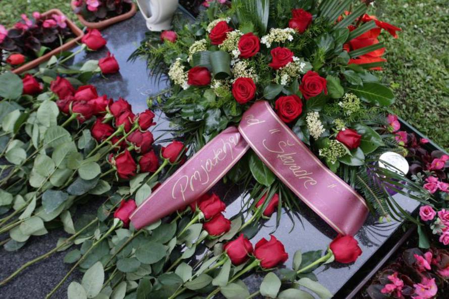 Željko Lukunić/PIXSELL