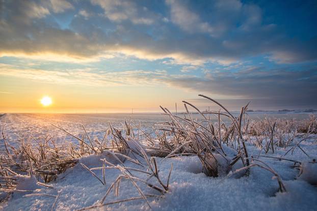 Slavonska ravnica u mrzlo jutro: Predivni prizori snijega i leda