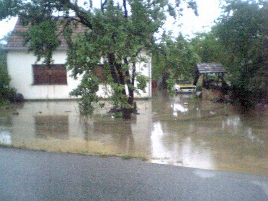 Č.24sata