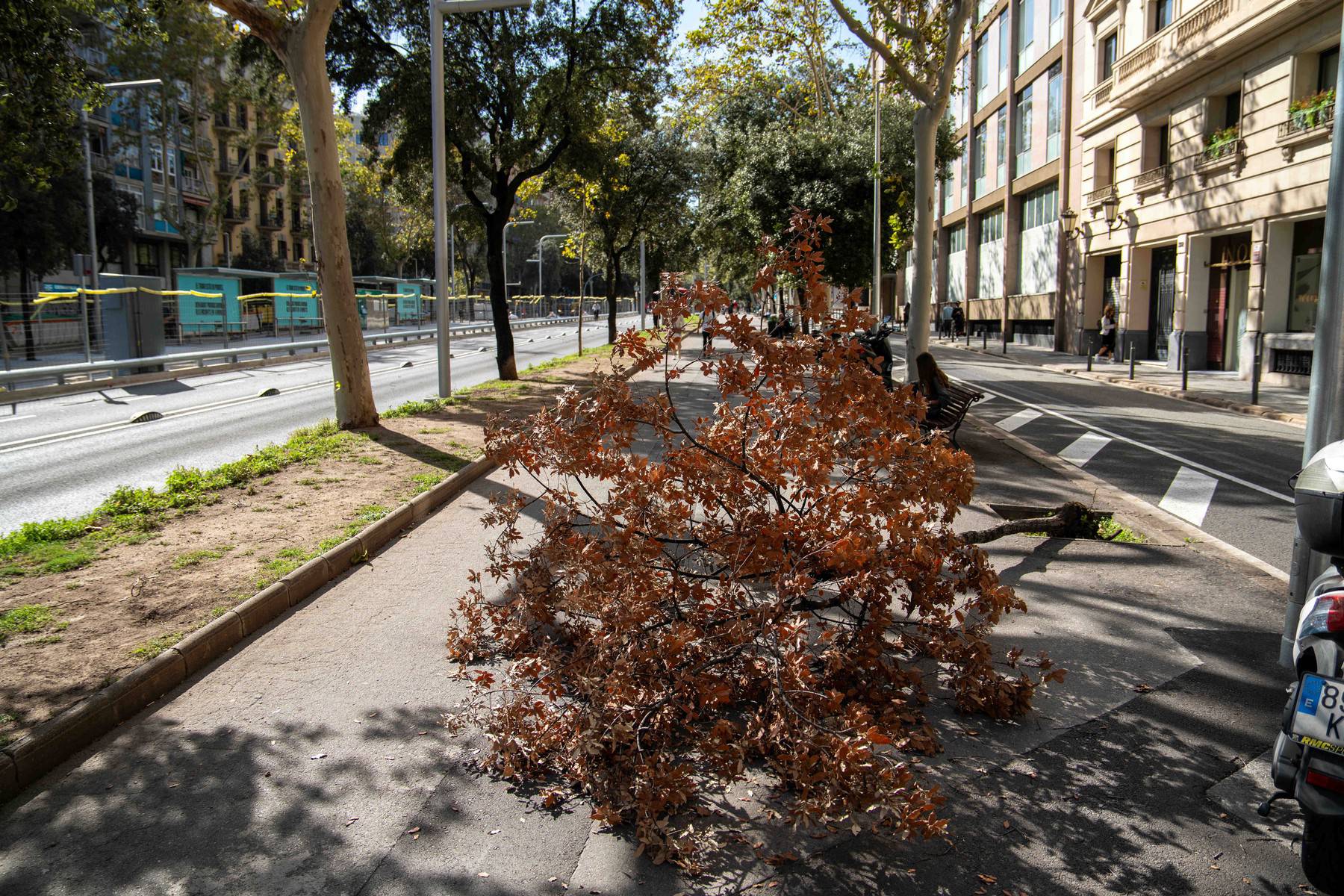 Barcelona, Kirk arrives in Spain with strong winds.