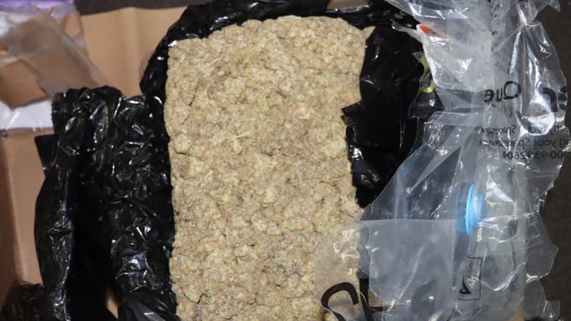 Zagrepčanin iz Kanade naručio više od deset kila marihuane, uhitili ga čim je preuzeo paket
