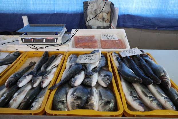 Šibenik: Ponuda ribe na ribarnici