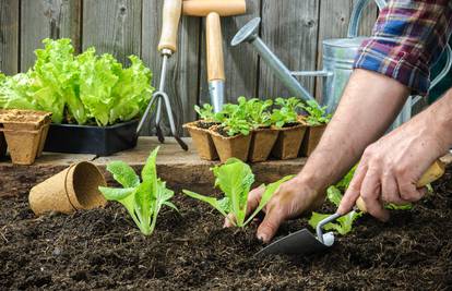 Sezonski radovi na balkonu i u vrtu: Pripremite bogat uzgoj...