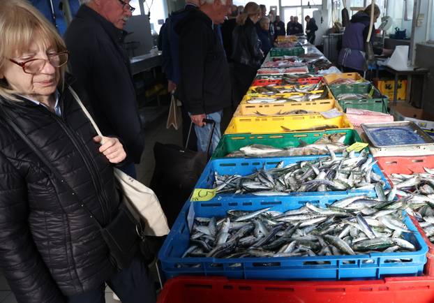 Šibenik: Poskupljenje plavog dizela još se nije odrazilo na cijene u ribarnici