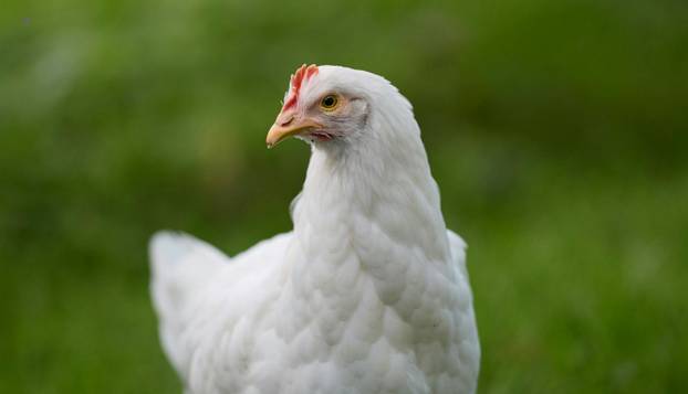 FOTO Smak svijeta najavljuje se stoljećima: Ovo su najjezivije najave apokalipsi kroz povijest