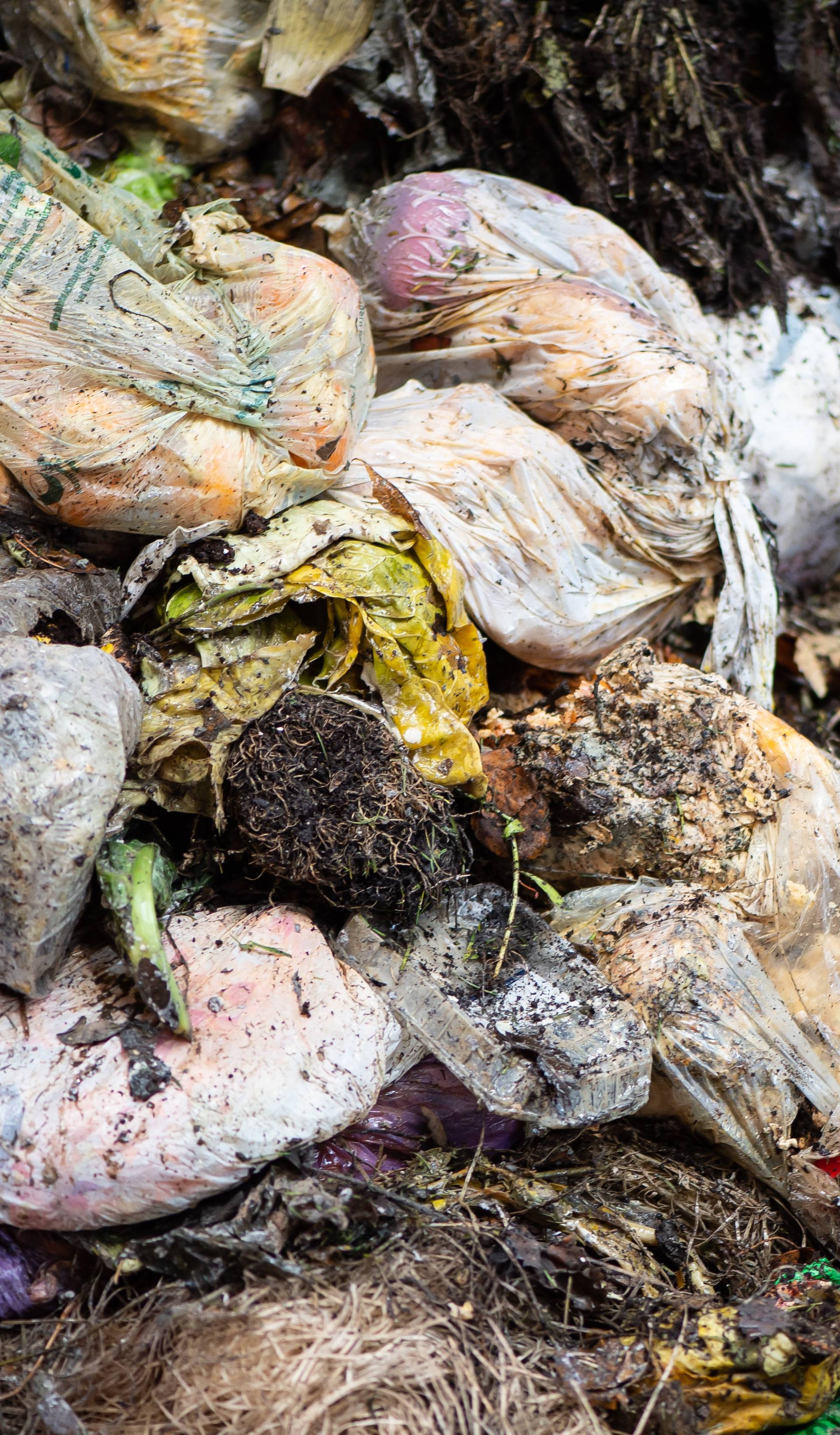 City cleaners control organic bins