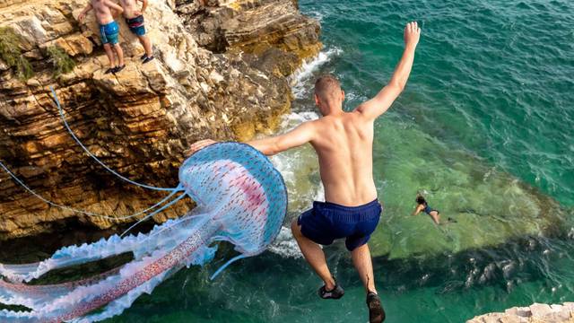 Na jugu Istre pojavila se opasna meduza: Ostavlja ožiljke, evo što napraviti ako vas opeče