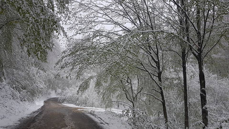 Snijeg u Hrvatskoj: 'Ako  padne ispod 0°C imat ćemo problema'