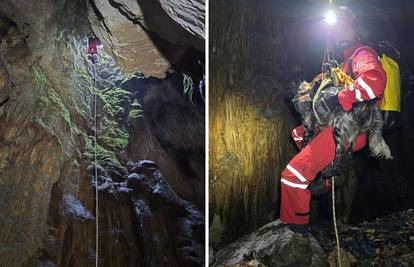 Pas Lupo  završio u jami dubokoj 15 metara kod Zagvozda. HGSS ga spasio! 'Sad je s vlasnikom'
