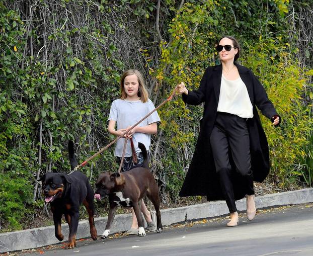 ** PREMIUM EXCLUSIVE RATES APPLY **  Angelina Jolie and daughter Vivienne are seen being pulled by their dogs as they leave a pet grooming salon in Los Angeles