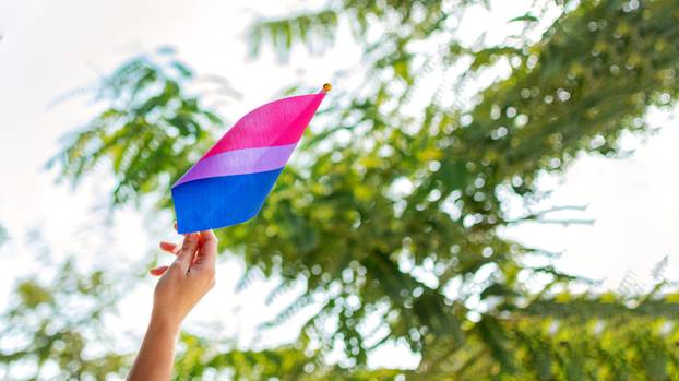 Gender queer. Bisexual Pride flag waving in the wind. Selective focus.