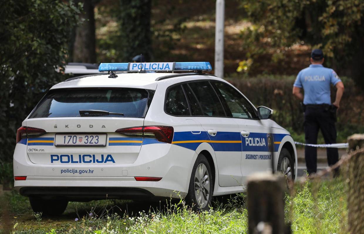 U tri policijske uprave uhvatili dva kradljivca drva, imaju još tri slučaja u kojima traže lopove