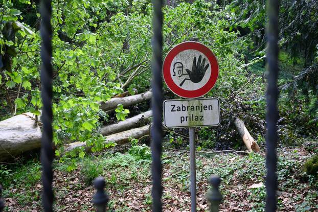 Zagreb: Veliko stablo srušilo se u Tuškancu i oštetilo ogradu kod javne garaže