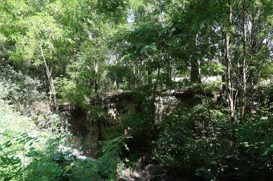 'Moja Jugoslavija ne umire, tu su mi bili ljudi iz cijelog svijeta'