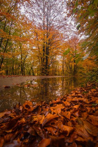 Zavalite se i uživajte: Čarobna jesen na Plitvičkim jezerima