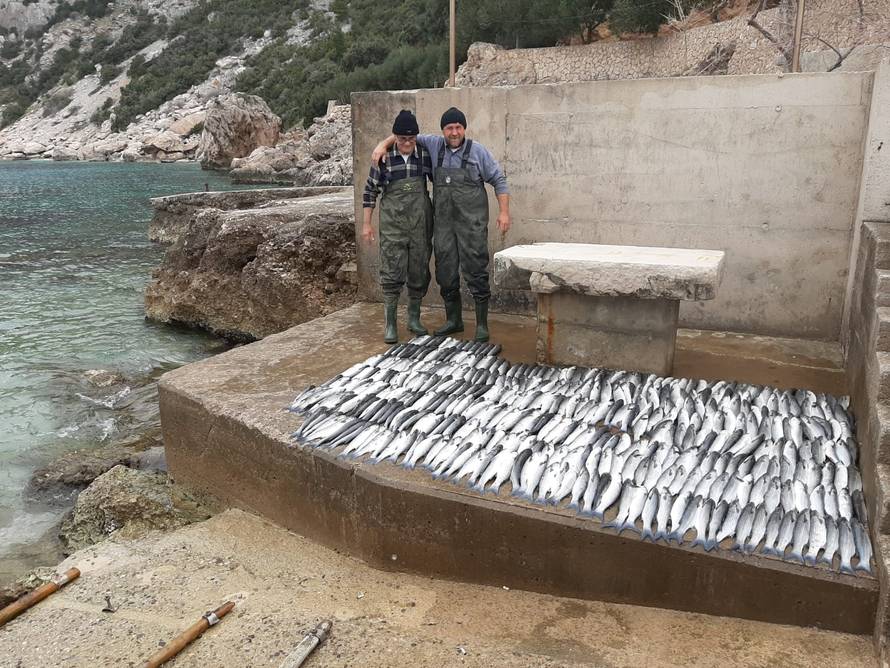 Krenulo ga: Ulovio je 680 riba! Sebi ostavio 4, sve je podijelio