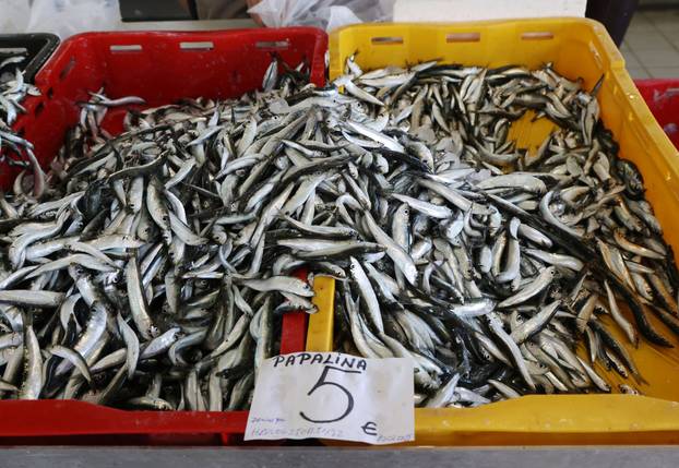 Šibenik:Bogata ponuda ribe na sibenskoj ribarnici.