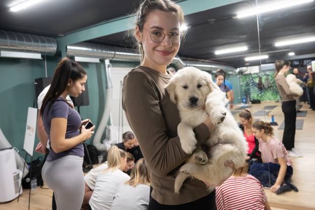 24SATA Paw Yoga, inovativni koncept joge koji je stigao u Hrvatsku