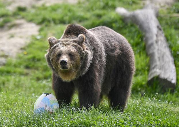 Zagreb: Podjela pisanica uz edukativni pogram za djecu u zoološkom vrtu