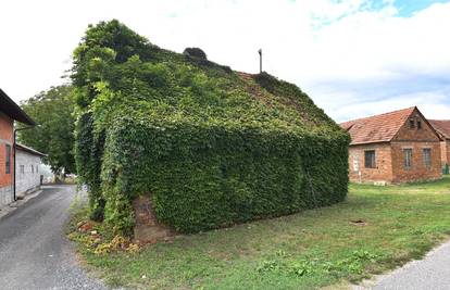 FOTO Bršljan je grli 30 godina: 'Nisam je htio rušiti, ipak je bila kuća od Rikija iz Gruntovčana'