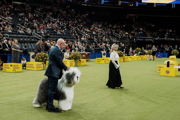 150th Annual Westminster Kennel Club Dog Show in New York City