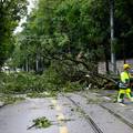 Zürich poplavile obline kiše, srušena stabla blokirala promet