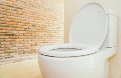 Za veliku uštedu vode birajte WC školjku s manjim protokom
