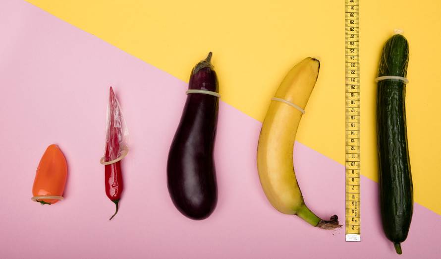 Ilustracija duljine penisa