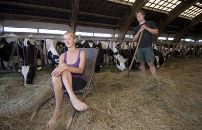 Kupili krave: Švicarski san ostvarili smo u Hrvatskoj