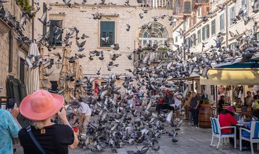 FOTO Dubrovnik pun turista