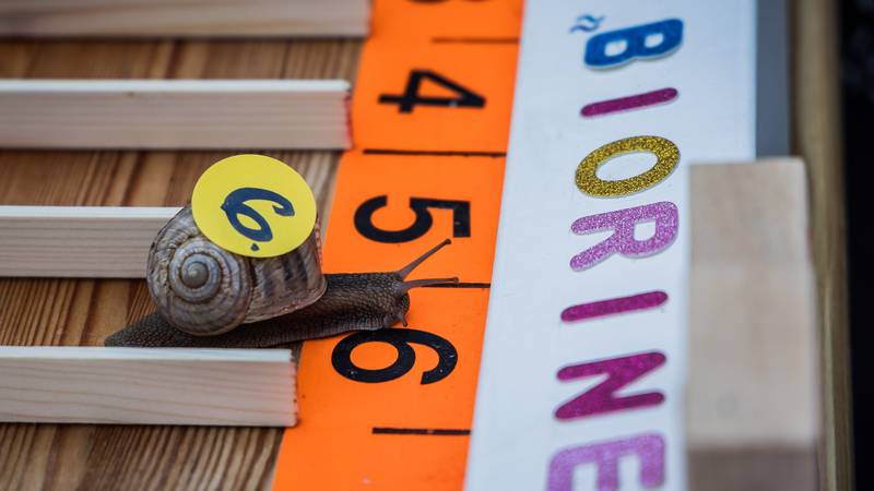 Biorine još jednom domaćin najsporije, ali najzabavnije utrke godine