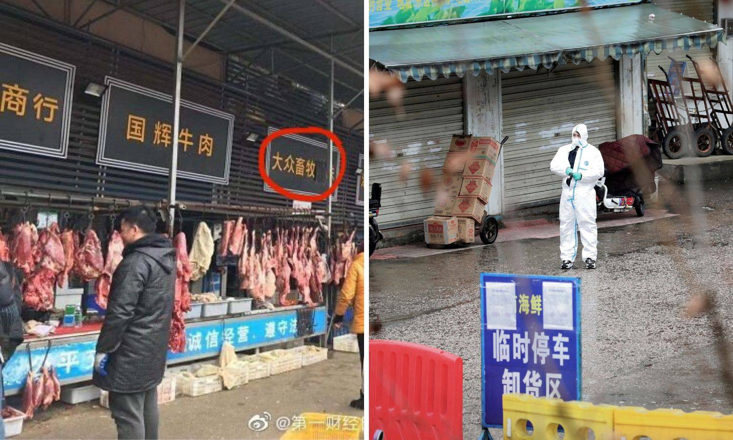 Na tržnici gdje je izbio virus prodavali meso koala, štakora...