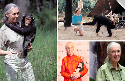 Zbogom Jane Godall: Zbog nje svi danas drugačije gledamo prirodu, a pogotovo čimpanze