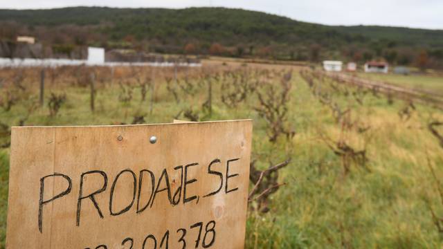 U Dalmatinskom zaleđu sve je više zemljišta i vinograda oglašeno za prodaju