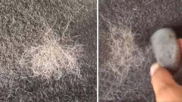 Žena otkrila genijalni trik kako ukloniti pseću dlaku s tepiha