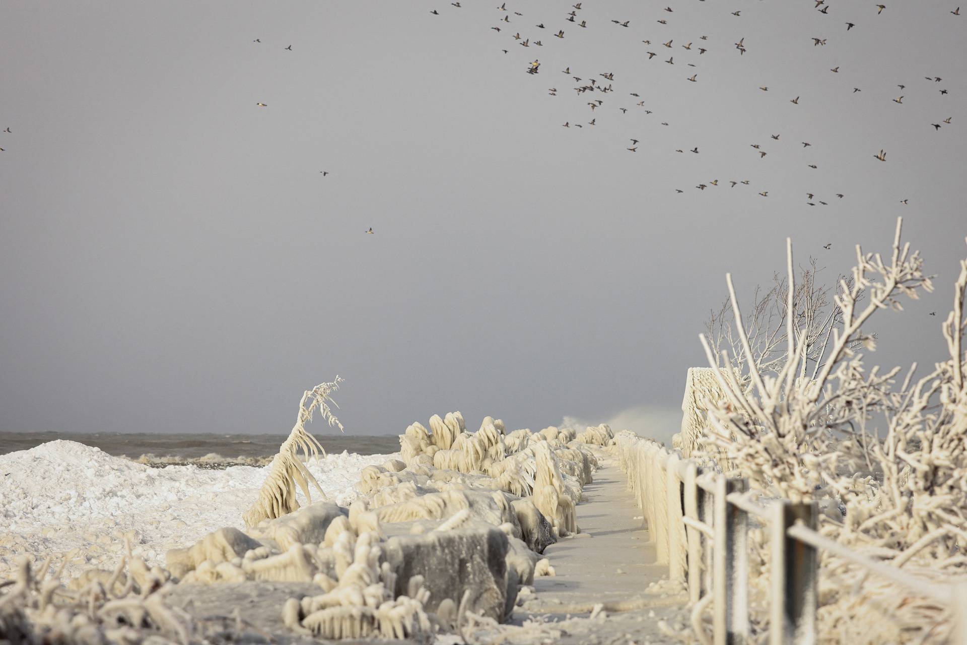 Ice formed by the spray of Lake Erie waves