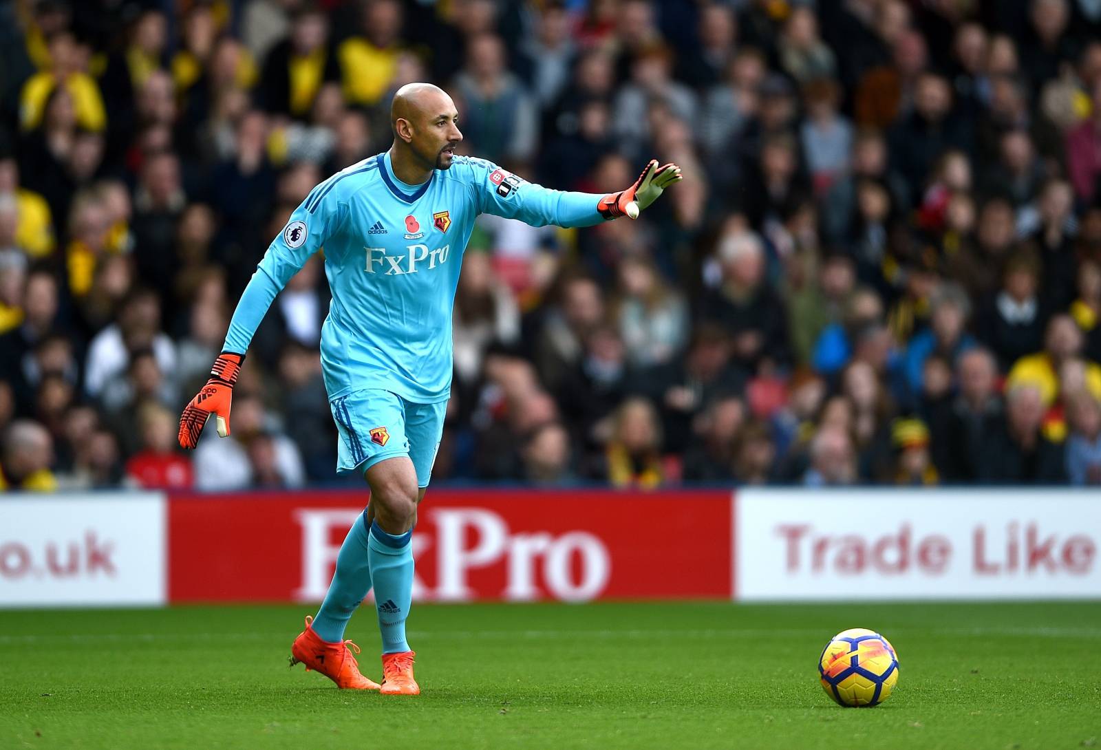 Watford v Stoke City - Premier League - Vicarage Road