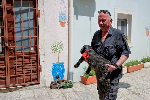 Zadar: Jovica Glumac nosi psa u &scaron;etnju