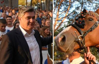 Hrvate nasmijala Milanovićeva 'nezgoda' s konjem: 'Plenki je kriv. HDZ je podmitio konja...'