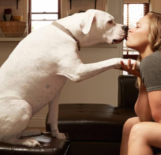 MMA snagatorica i UFC legenda se vraća nakon devet godina?!