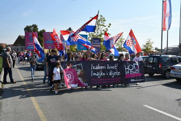 Pogledajte fotografije. U Sl. Brodu održan Hod za život