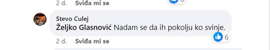 Studentski zbor odgovorio na napade: 'Putovanje u Beograd se nastavlja'. Javio se i Culej
