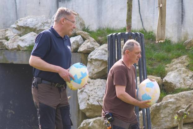 Zagreb: Tradicionalna podjela pisanica životinjama u Zoološkom vrtu Grada Zagreba