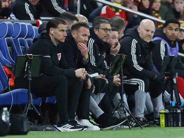 FIFA World Cup - UEFA Qualifiers - Semi Final - Wales v Bosnia and Herzegovina