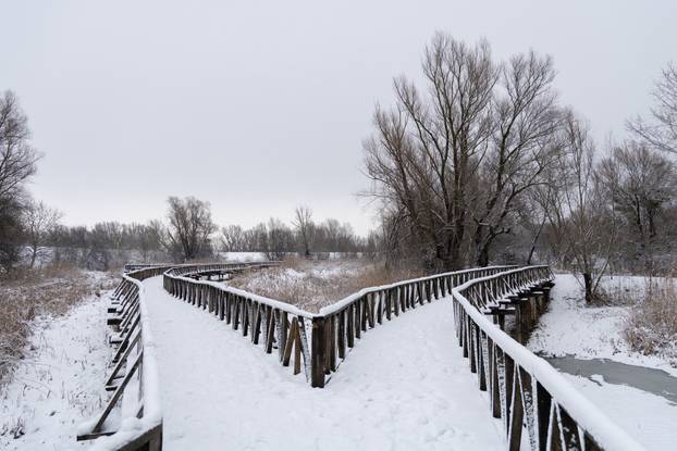 Kopački rit: Zimska idila u Baranji 