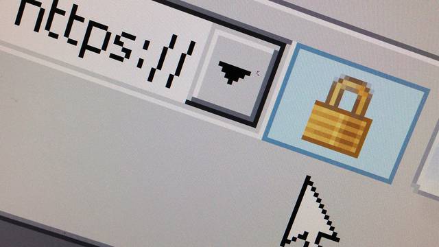FILE PHOTO: FILE PHOTO: A lock icon, signifying an encrypted Internet connection, is seen on an Internet Explorer browser in Paris